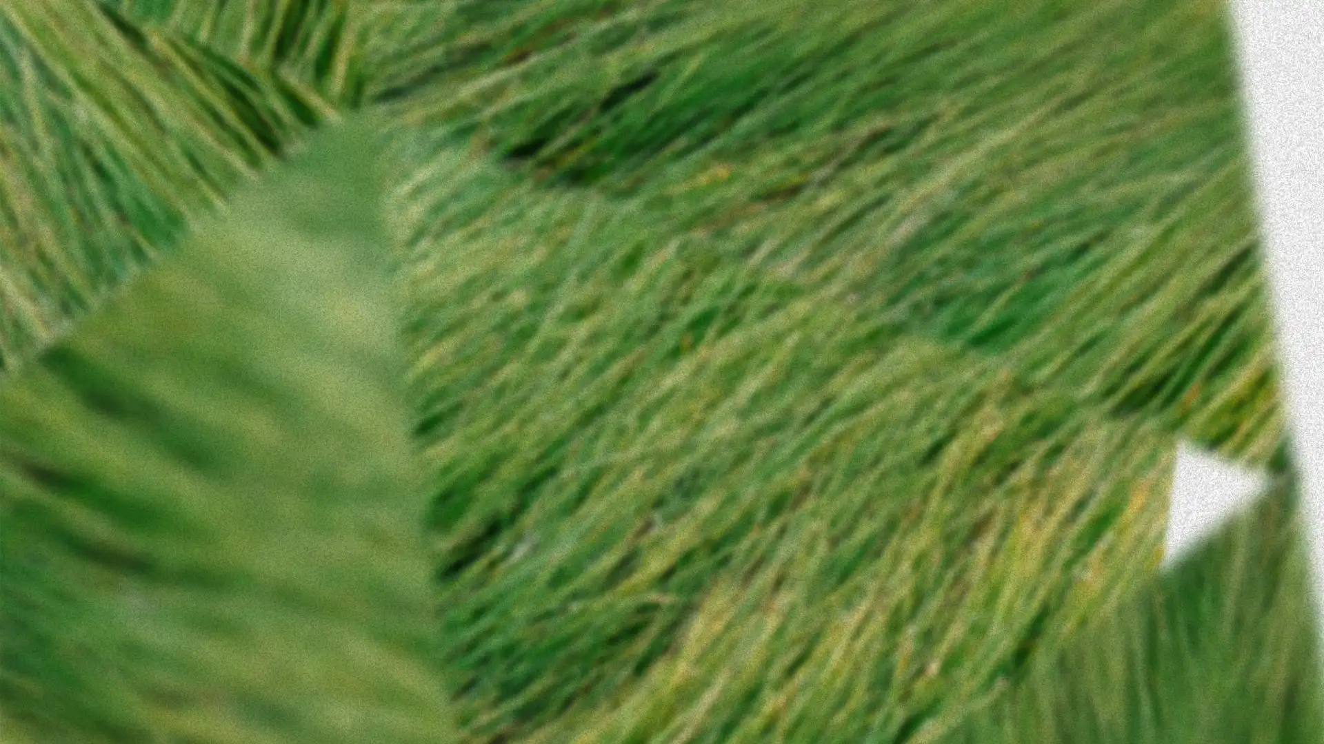 When a tool becomes a hobby & Introducing ShareBridgely